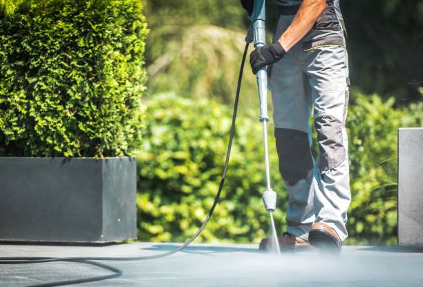 Best House Exterior Washing  in Forest City, FL
